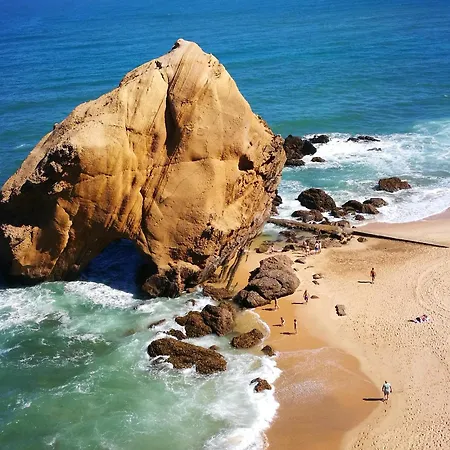 Daire Sunset Hideaway Santa Cruz *